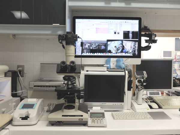 横浜 金沢区の動物病院 マーサ動物病院 医療設備 ビデオ顕微鏡システム
